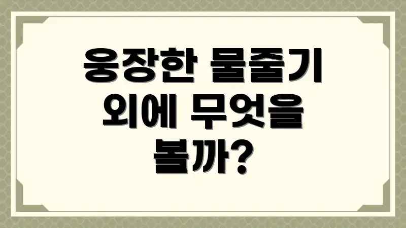 웅장한 물줄기 외에 무엇을 볼까?