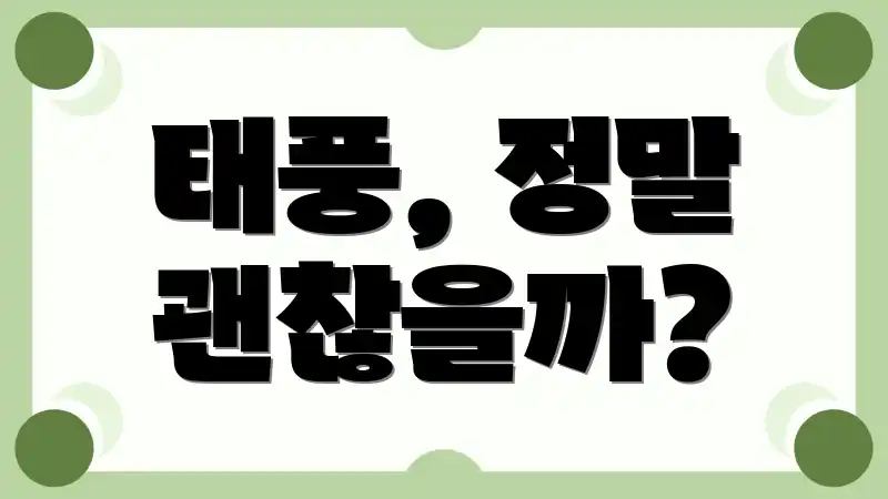 태풍, 정말 괜찮을까?