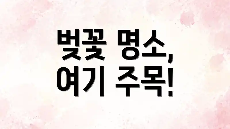 벚꽃 명소, 여기 주목!